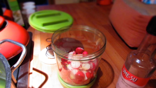 Radieschen Kurzzeit Pickles